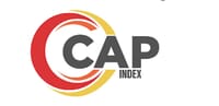 Most at-Risk Stores: How to Engage Others in a Cross-Function Risk Mitigation Strategy 22 capindex logo