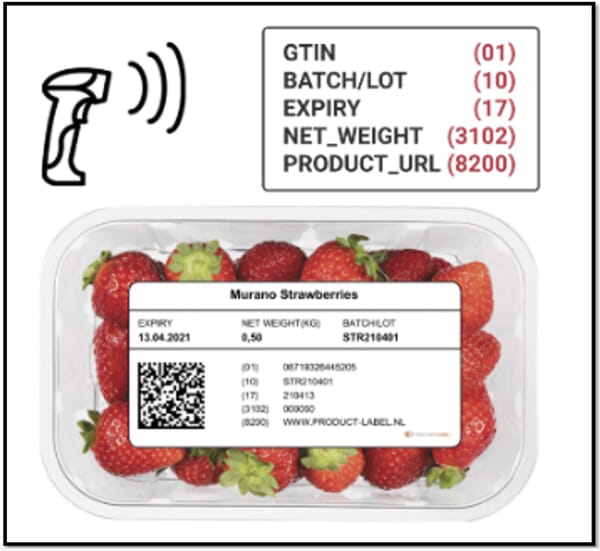 Scaling QR Codes with Embedded Date Codes in Retail 9 2D QR codes