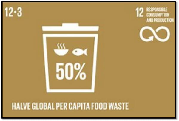 Scaling QR Codes with Embedded Date Codes in Retail 13 food waste infographic