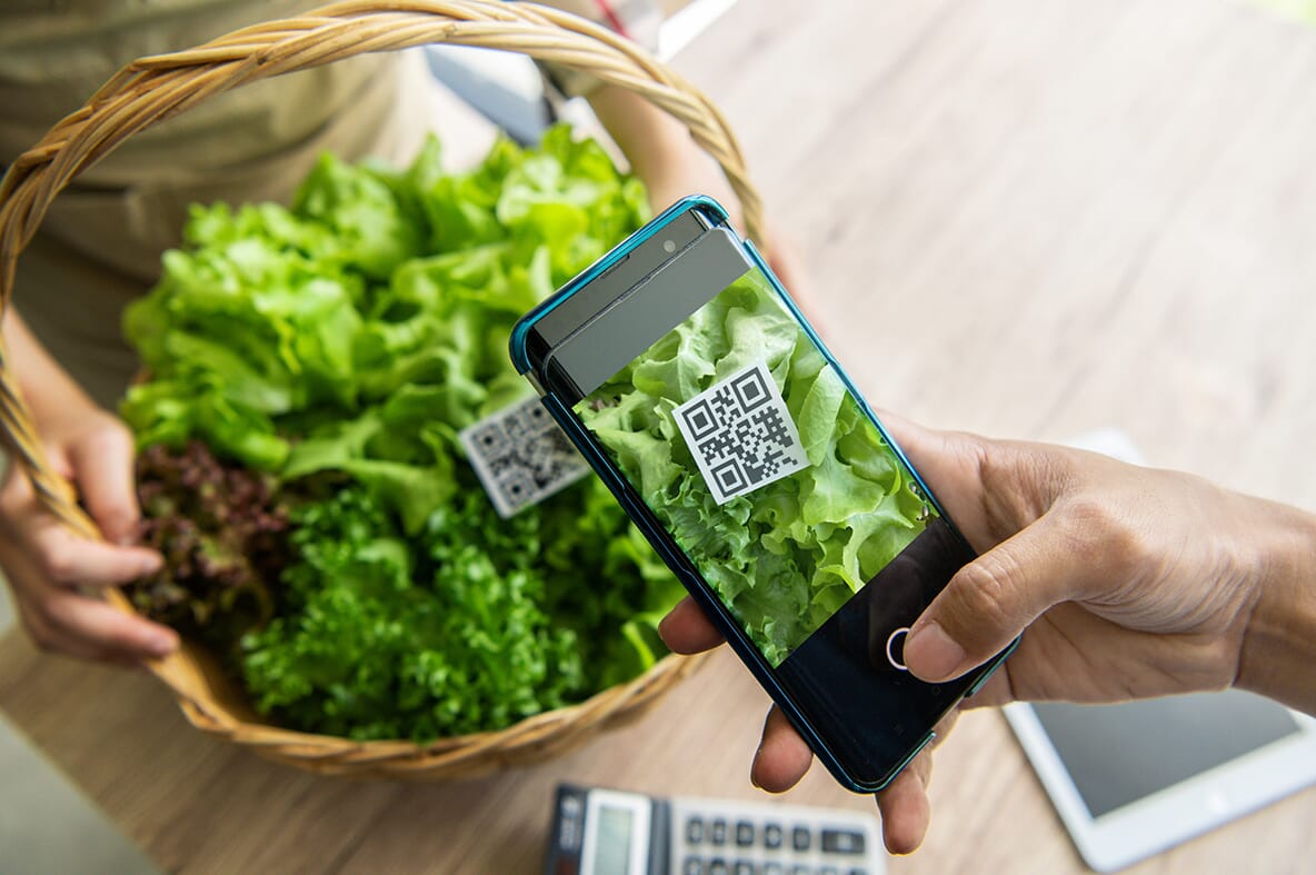 customers buy organic vegetables from hydroponics farm and pay