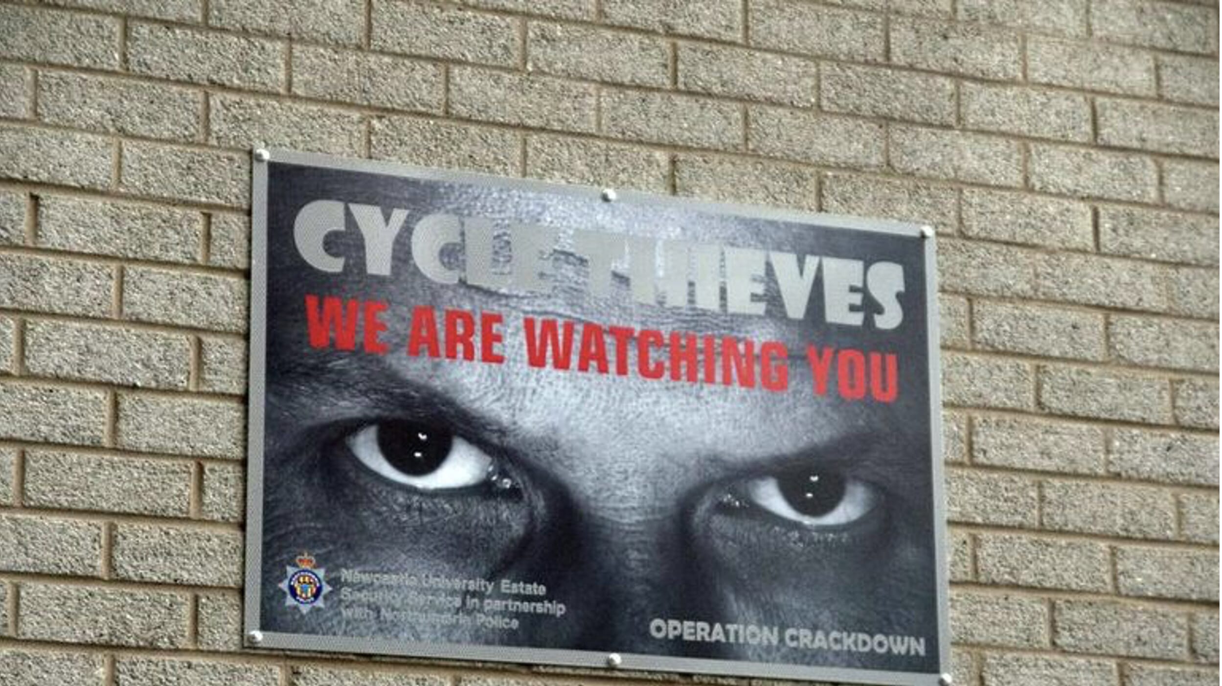 Cycle thieves poster
